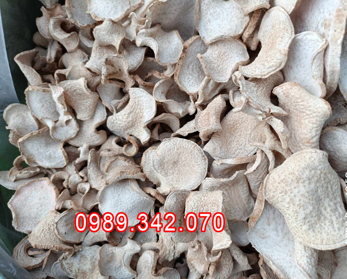 Củ bạc hà núi (củ ráy) Hòa Bình