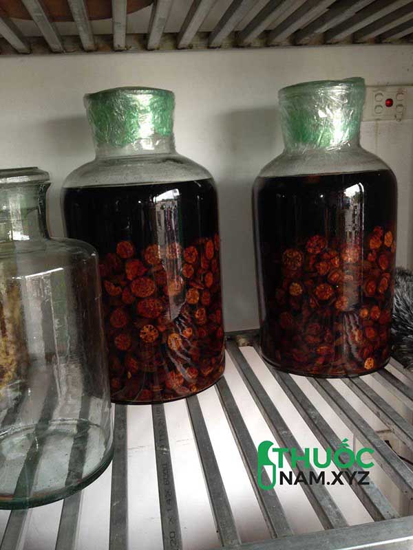 rượu chuối hột rừng