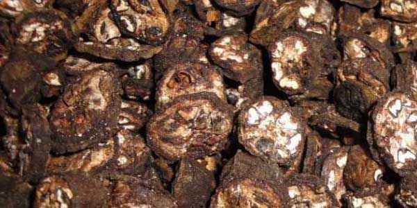 quả chuối hột khô