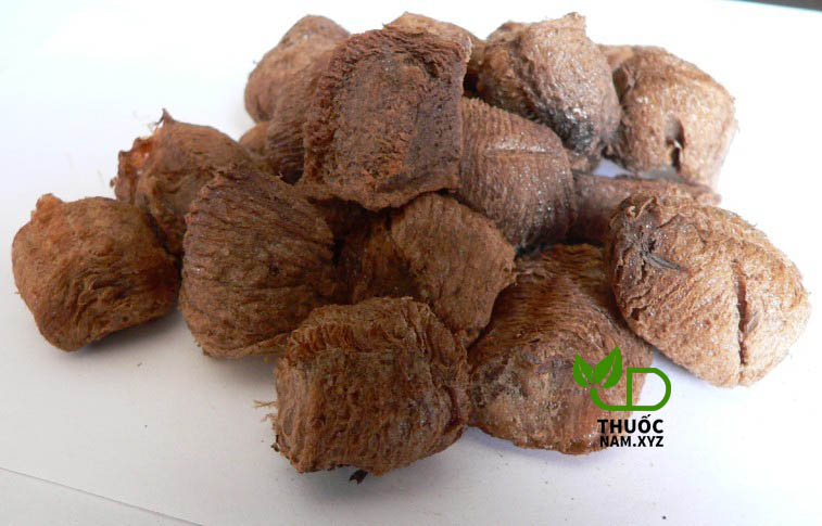 Tang tiêu phiêu vị thuốc bổ thận tráng dương