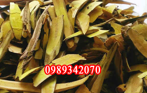 cây mât gấu khô