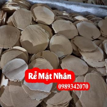 Cây mật nhân, bá bệnh, bách bệnh và mua rễ mật nhân ở đâu