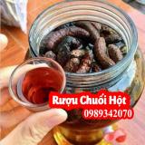 Chuối hột rừng vị thuốc hỗ trợ điều trị Sỏi Thận