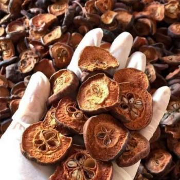 Mua Quả Táo Mèo Ở Đâu Và Bao Nhiêu 1kg