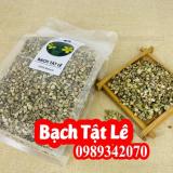 Mua Bạch Tật Lê Ơ Đâu Và Bao Nhiêu Tiền 1kg