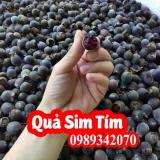 Quả sim tím bổ thận tráng dương, ngâm cực ngon