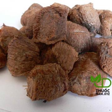 Tang tiêu phiêu vị thuốc bổ thận tráng dương