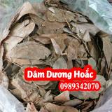 Cây dâm dương hoắc giúp tráng dương bổ thận