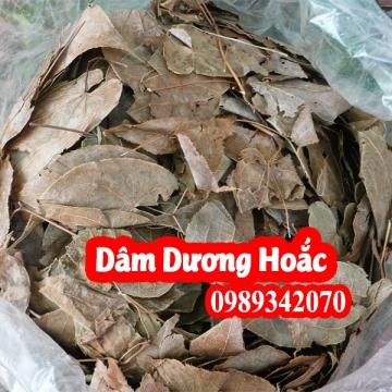 Cây dâm dương hoắc giúp tráng dương bổ thận