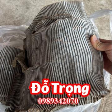 Tác dụng của đỗ trong và mua đỗ trọng ở đâu tốt uy tín