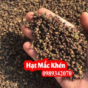 Hạt mắc khén gia vị đặc trưng miền núi rừng Tây Bắc