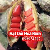 Hạt dổi thứ gia vị “Nếm thử một lần mà nhớ trăm năm”