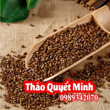 Thảo quyết minh (Hạt muồng muồng) điều trị mất ngủ, sáng mắt, nhuận tràng