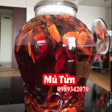 Tác Dụng Của Cây Mú Tửng Và Mua Rễ Mú Tửng Ơ Đâu Tốt