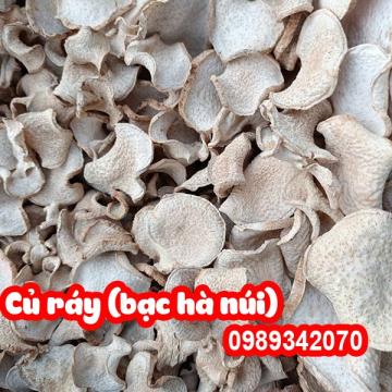 Cây Bạc Hà Núi (củ ráy) Có Tác Dụng Gì Và Mua Ở Đâu