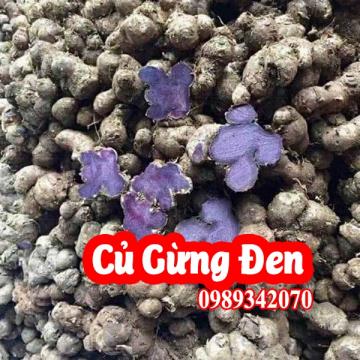 Mua Củ Gừng Đen(Nghệ Đen) Ở Đâu Và Bao Nhiêu Tiền 1kg
