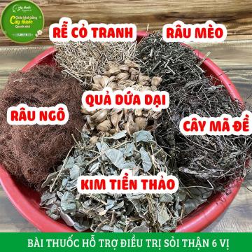 Bài thuốc trị sỏi thận tại nhà kết hợp 6 vị thuốc hiệu quả và an toàn