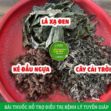 Bài thuốc kết hợp bộ ba thảo dược vàng cho tuyến giáp 